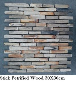 Stick Petrified Wood Stick Petrified Wood
