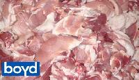 frozen pork meat