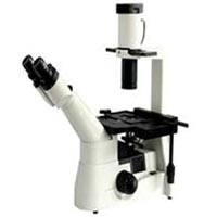T200 Tissue Culture Microscope