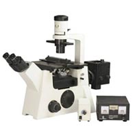 TF500 Tissue Culture Microscope