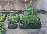 planter grow bags