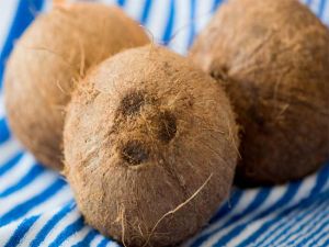 Brown Coconut Brown Coconut