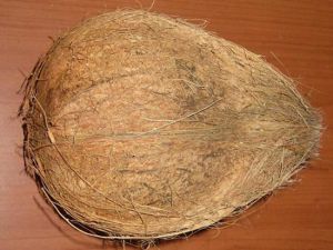 Husked Coconuts Husked Coconuts