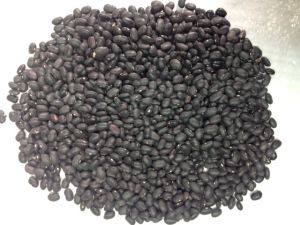 Sell - Black Beans