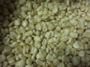 Food Grains