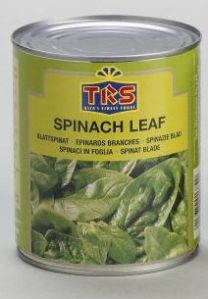 Canned Spinach Leaf
