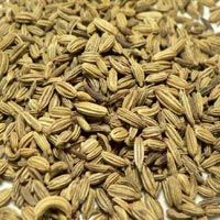 Fennel Seeds Oil