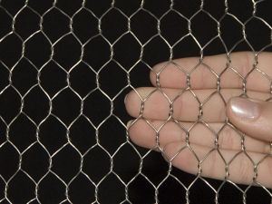 Hexagonal Wire Netting