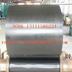 Polyester Conveyor Belt, Packaging Type : Black