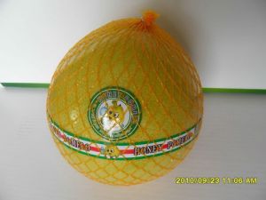 Guanxi Pomelo
