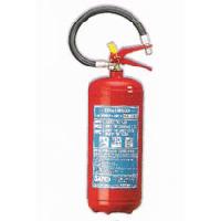 Approved Fire Extinguisher (P 6 Ellen)