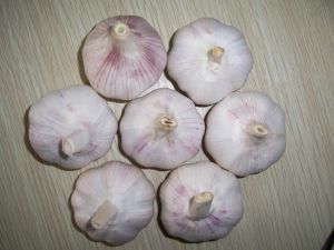 Garlic, Grade : one class, Packaging Type : red