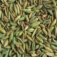 Fennel Oil