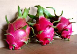 dragon fruit