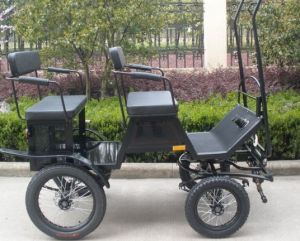 Pony Horse Carriage