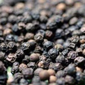 Vietnam Black Pepper(density 500gr/l)