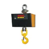 industrial crane weighing scale