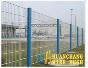 Wire Mesh Fences
