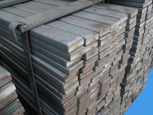 Stainless Steel Flats