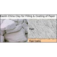 Kaolin China Clay for Filling & Coating of Paper