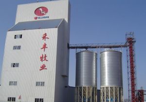 Grain Steel Silo