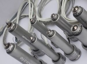 Anole Pin Point Gate Nozzle