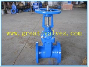 515-F (ANSI) Cast Iron Gate Valve（RS）