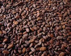 Roasted Ariba Cocoa Beans