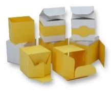 Luxury Packaging Box