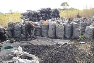 African Hard Wood Charcoal