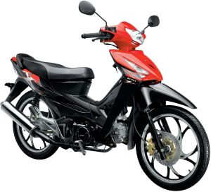 Typical Cub - WY110-5