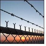 Chain Link Fencing 003