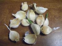Garlic Seeds