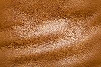 Leather Raw Material