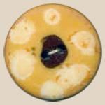 Designer Sewing Buttons  - Dsb 66