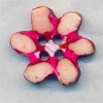 Flower Buttons Fb-10