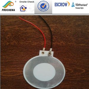 Pvdf Piezo Film