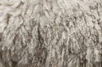wool textile