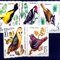 Birds stamp