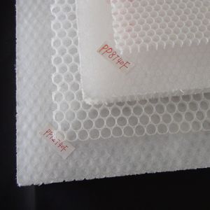 PP Honeycomb Panel