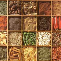agro spices