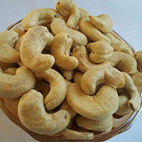 Cashew Nut Kernel W-180