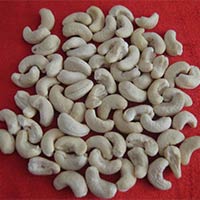 Cashew Nut Kernel W-240