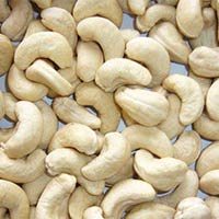 Cashew Nuts Kernel W-210