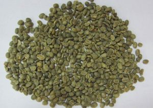 Robusta Ab Coffee Beans