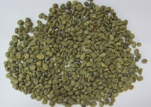 Robusta Bulk Coffee Beans