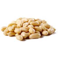 Blanched Roasted Peanuts