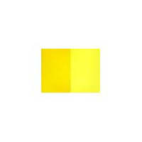 Pigment Yellow 5g
