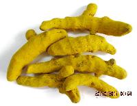 turmeric fingers