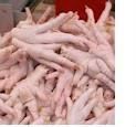 Fresh Processed Frozen Chicken Feet